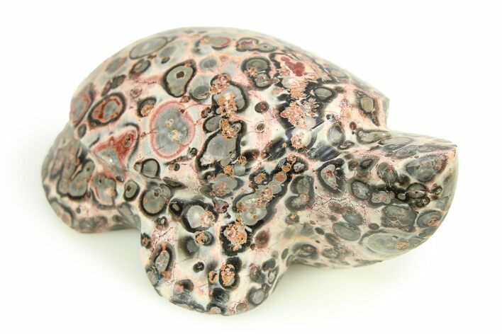 Carved Leopard Stone Turtle - Mexico #308303